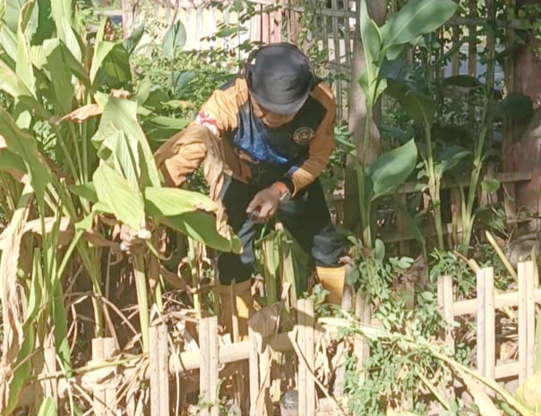 Lurah Tolo Kota Pimpin Aksi Bersih Lingkungan Bersama Kepala Lingkungan di Kelara