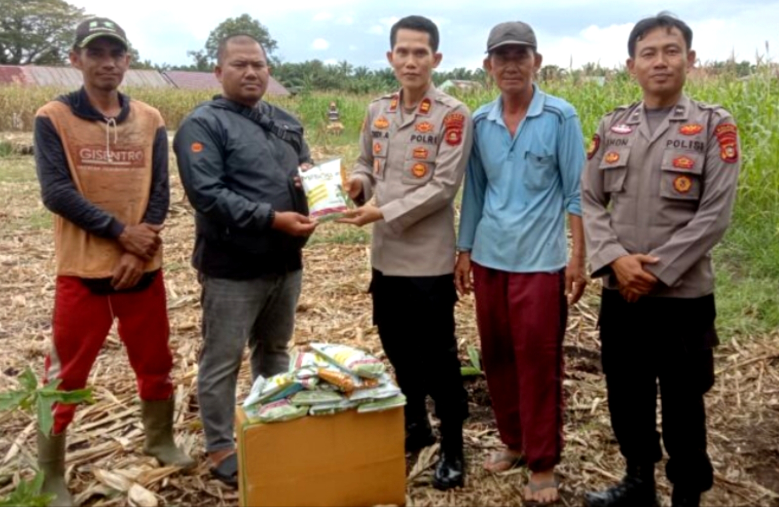 Kapolsek Lubuk Linggau Selatan I Turun ke Sawah, Salurkan Bibit Jagung untuk Dukung Ketahanan Pangan