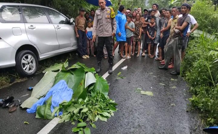 Pengendara Motor Tewas dalam Kecelakaan Maut di Padang Ulak Tanding