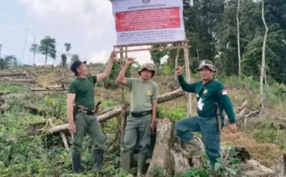 Patroli Gabungan Temukan 80 Hektare Kawasan TNKS Dirambah untuk Kebun Kopi di Rejang Lebong