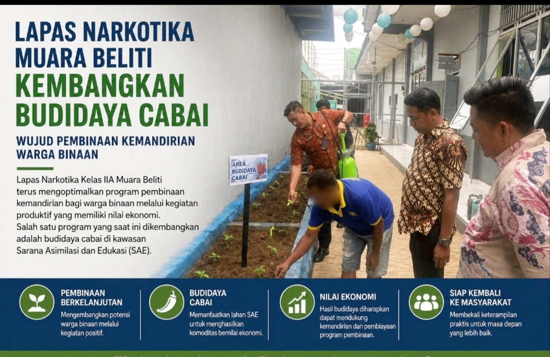 Lapas Narkotika Muara Beliti Perkuat Pembinaan Warga Binaan Melalui Budidaya Cabai