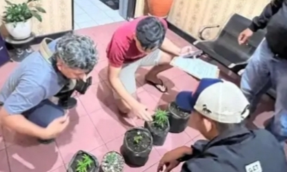 Sembilan Tanaman Diduga Ganja Diamankan dari Rumah di Perumahan Marvel Residence Curup Timur